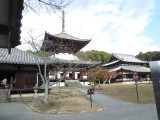 img0006.jpg