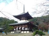 img0012.jpg