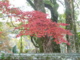 img0014.jpg