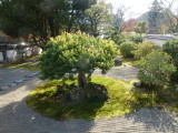 img0021.jpg
