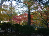img0038.jpg