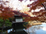 img0041.jpg