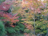 img0043.jpg