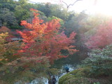 img0047.jpg
