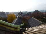 img0049.jpg