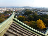 img0050.jpg