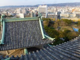 img0051.jpg