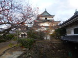 img0054.jpg