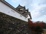 img0055.jpg