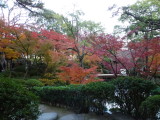 img0060.jpg