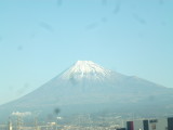 img0008.jpg