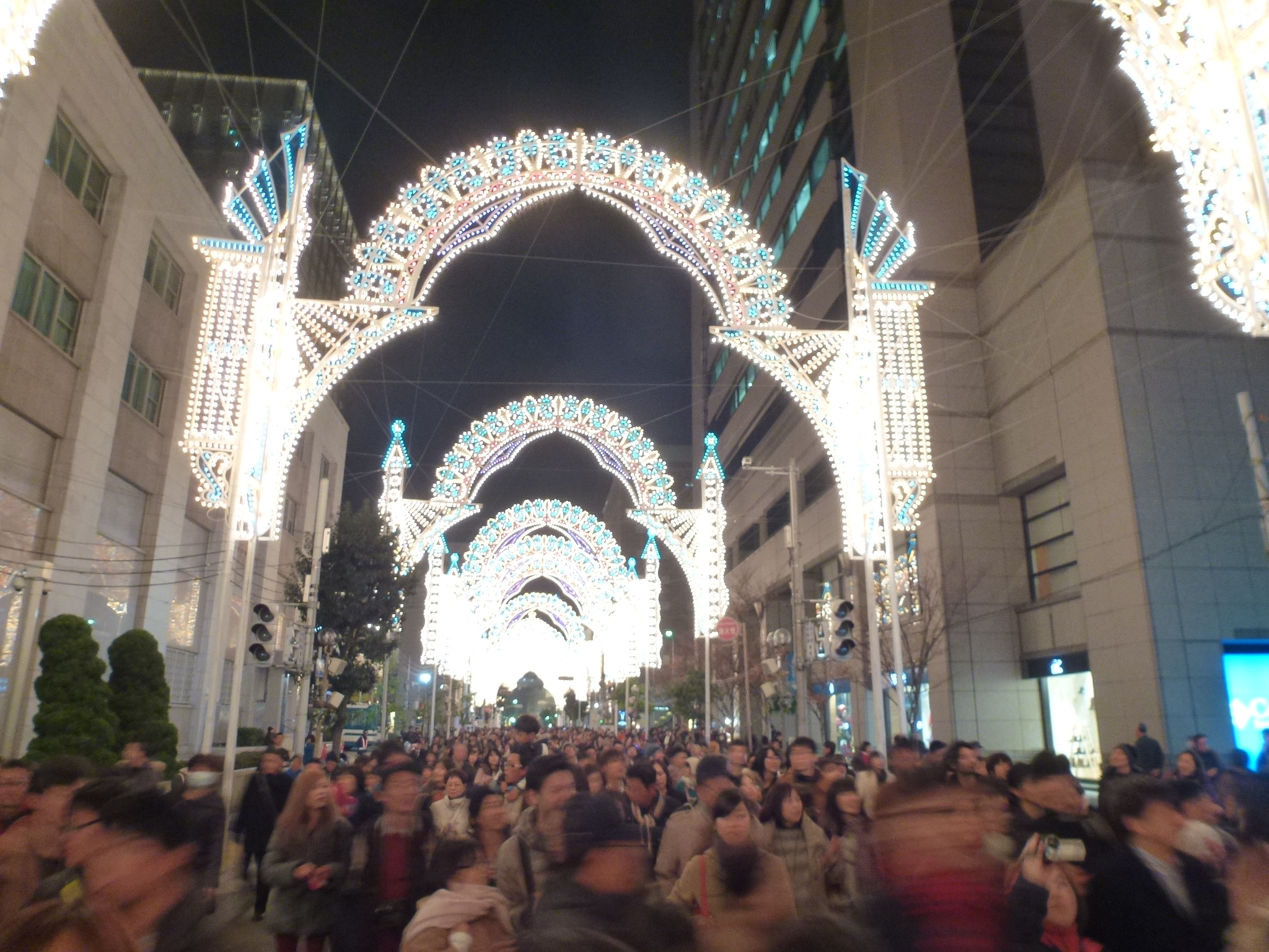P1140149.JPG