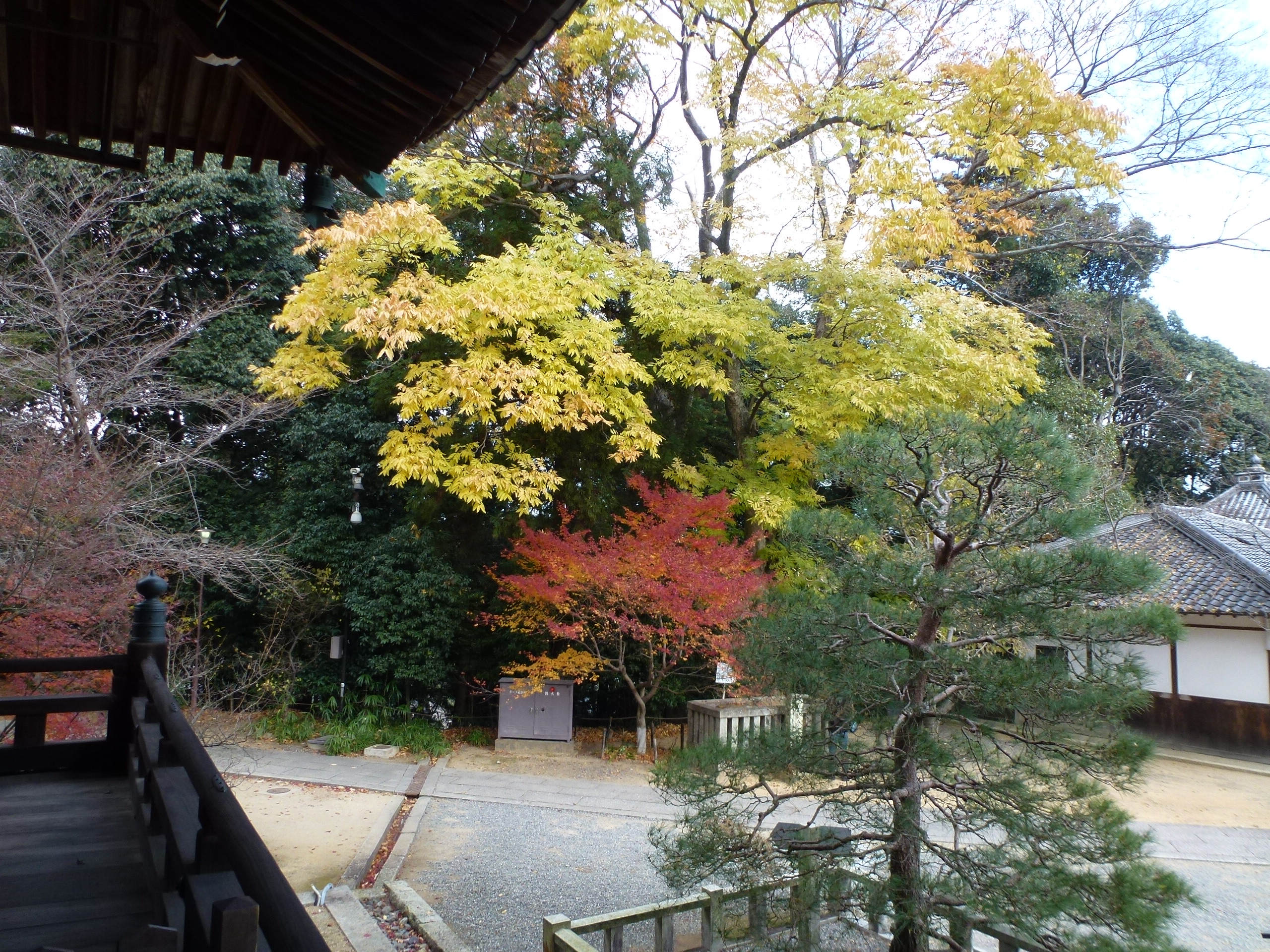 P1140201.JPG