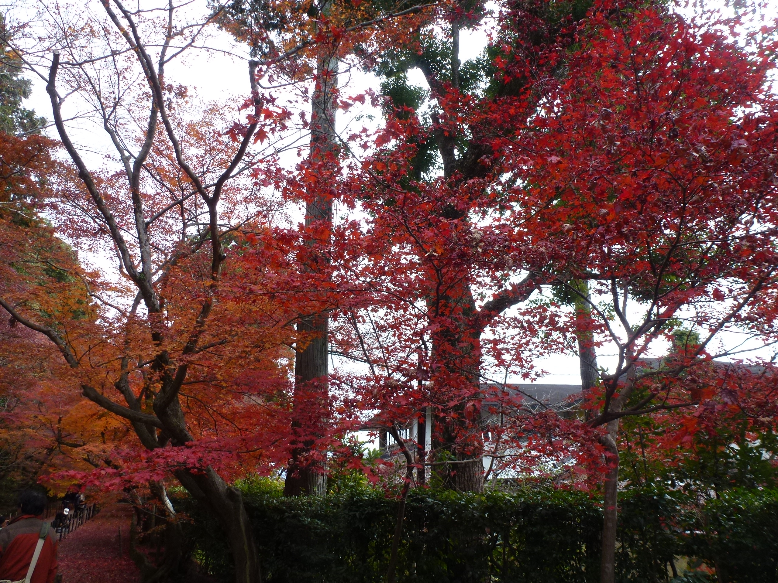 P1140210.JPG