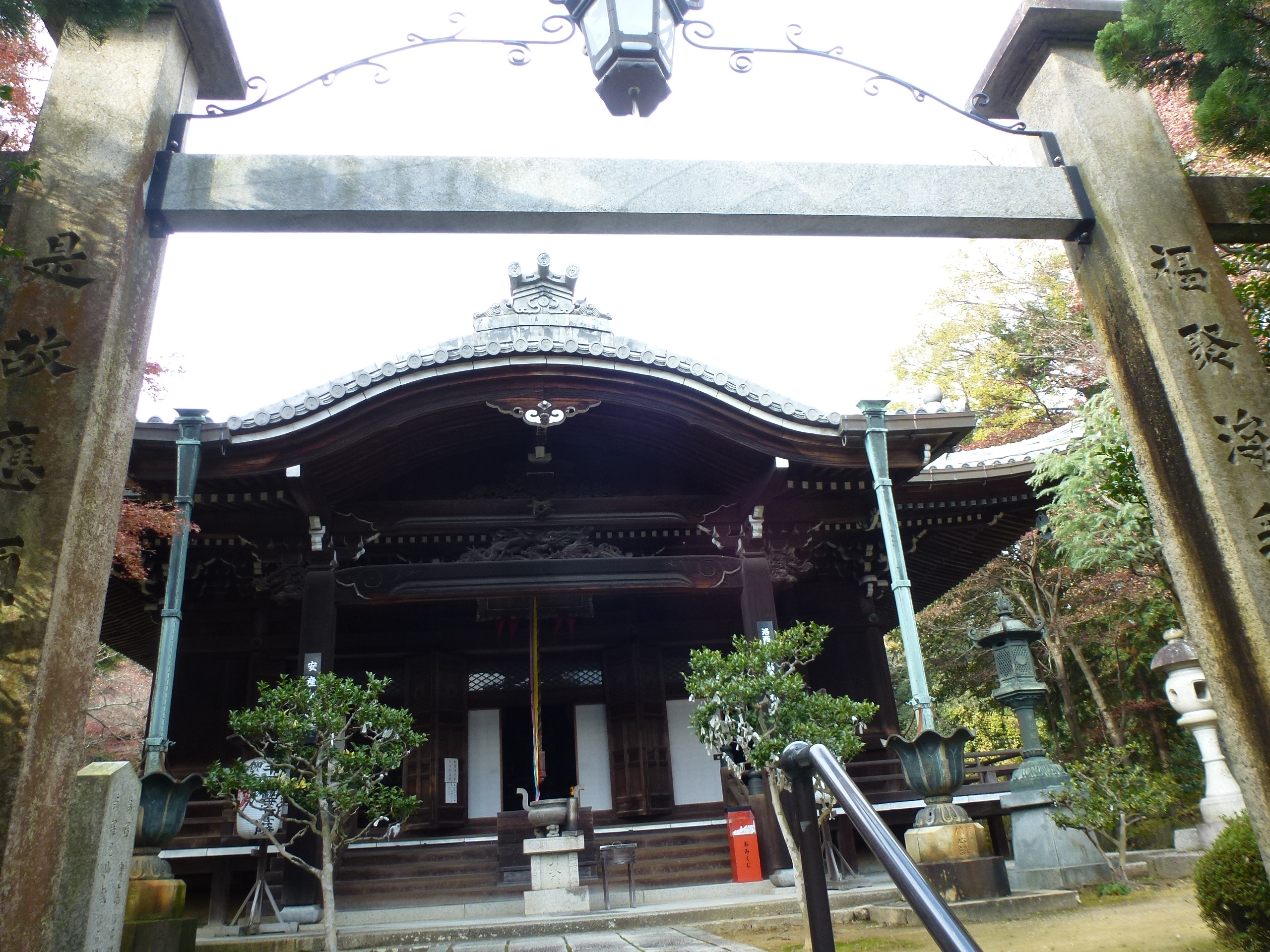 P1140241.JPG