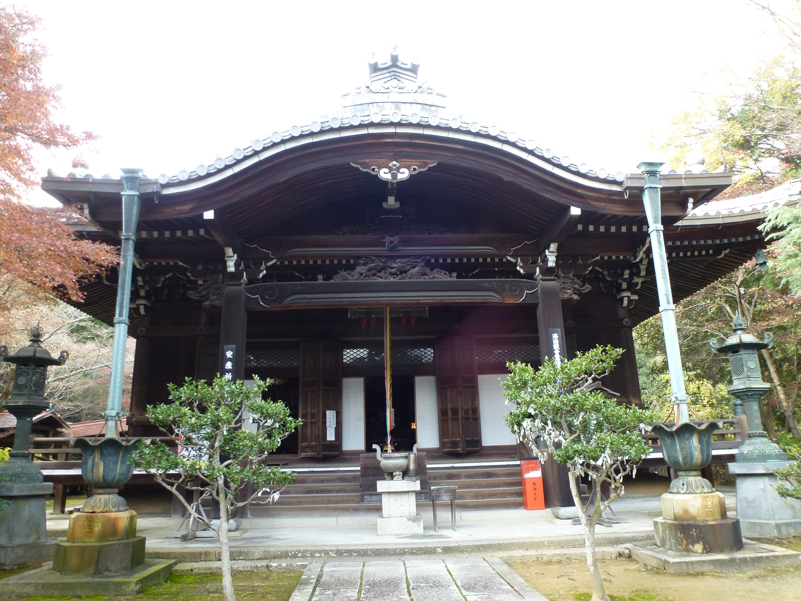 P1140242.JPG