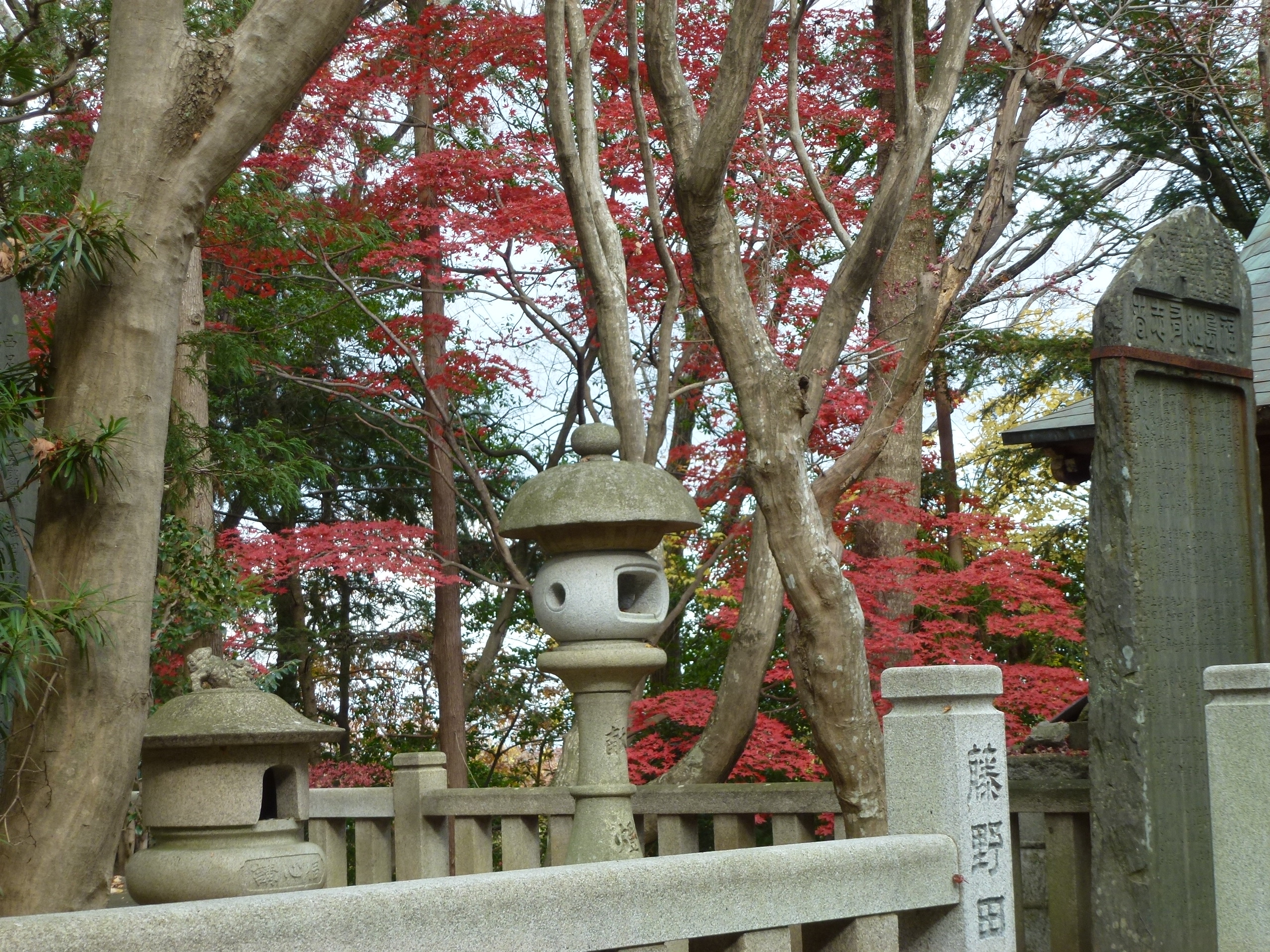 P1140247.JPG