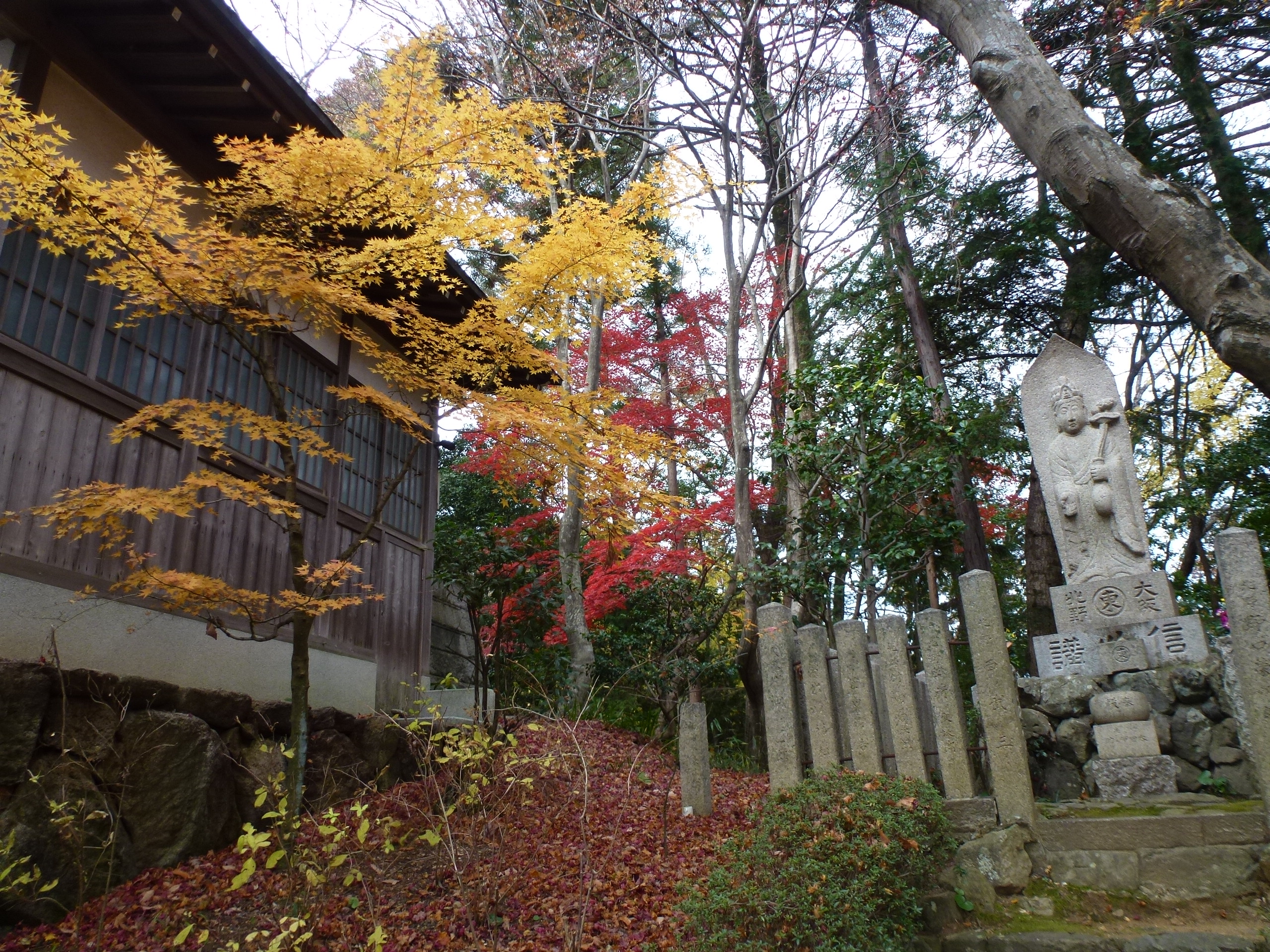 P1140249.JPG