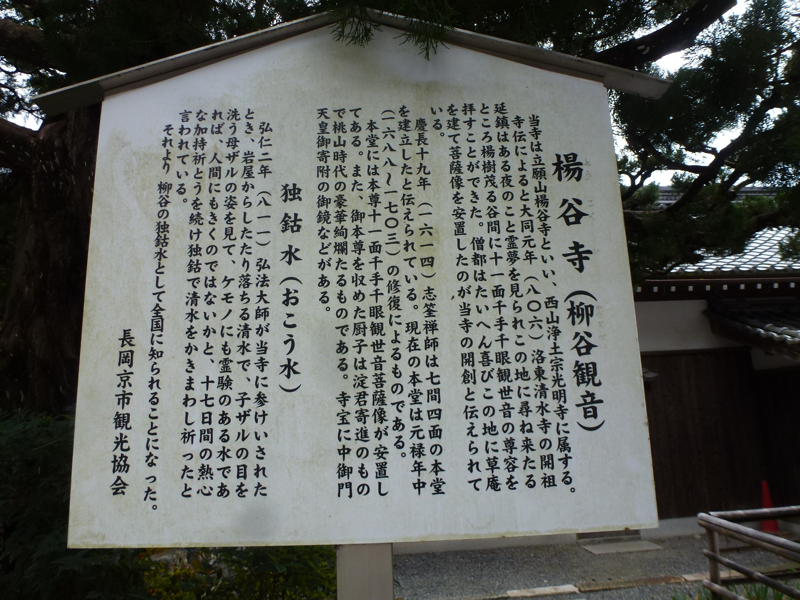 P1140254.JPG
