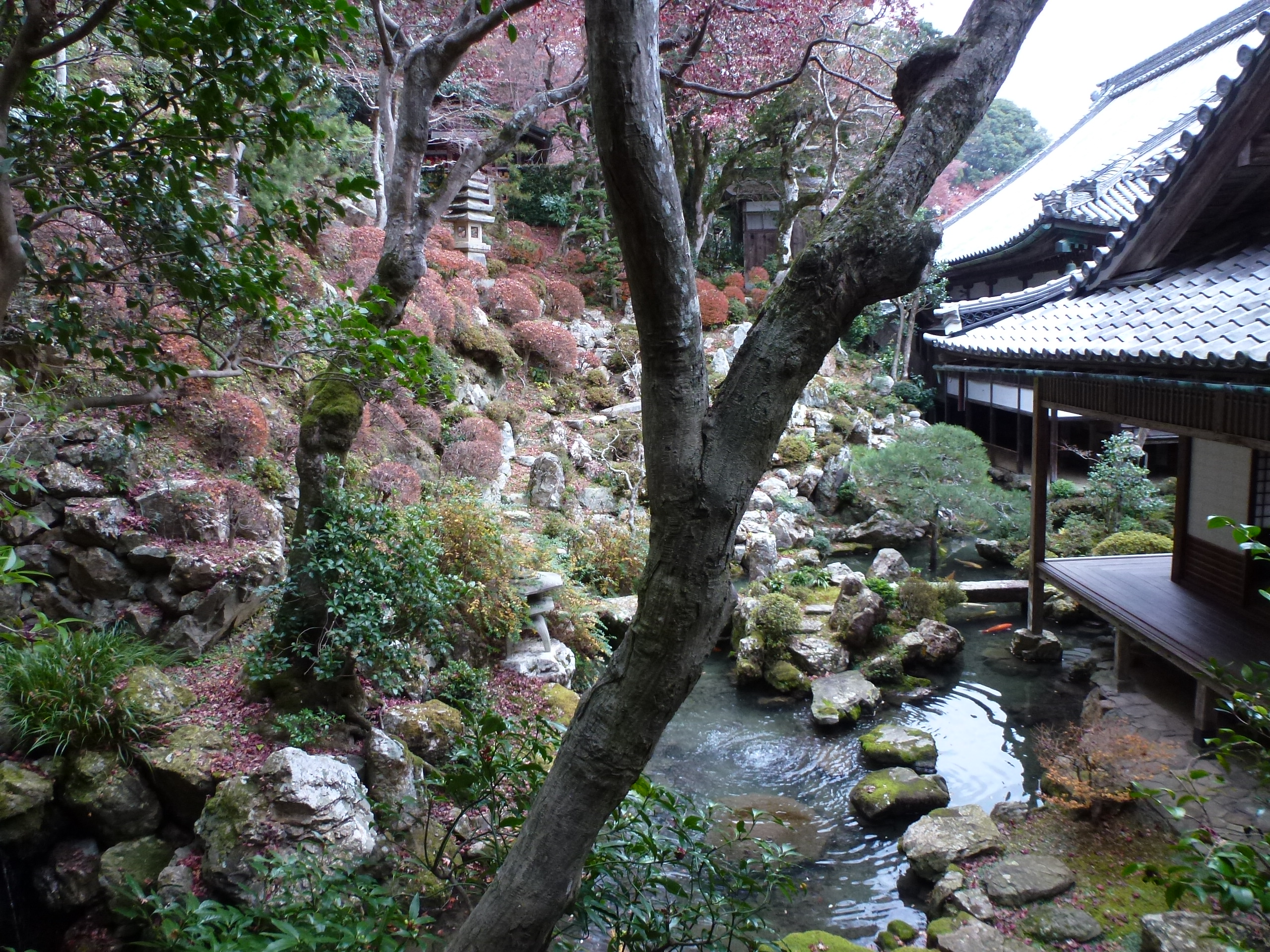 P1140256.JPG