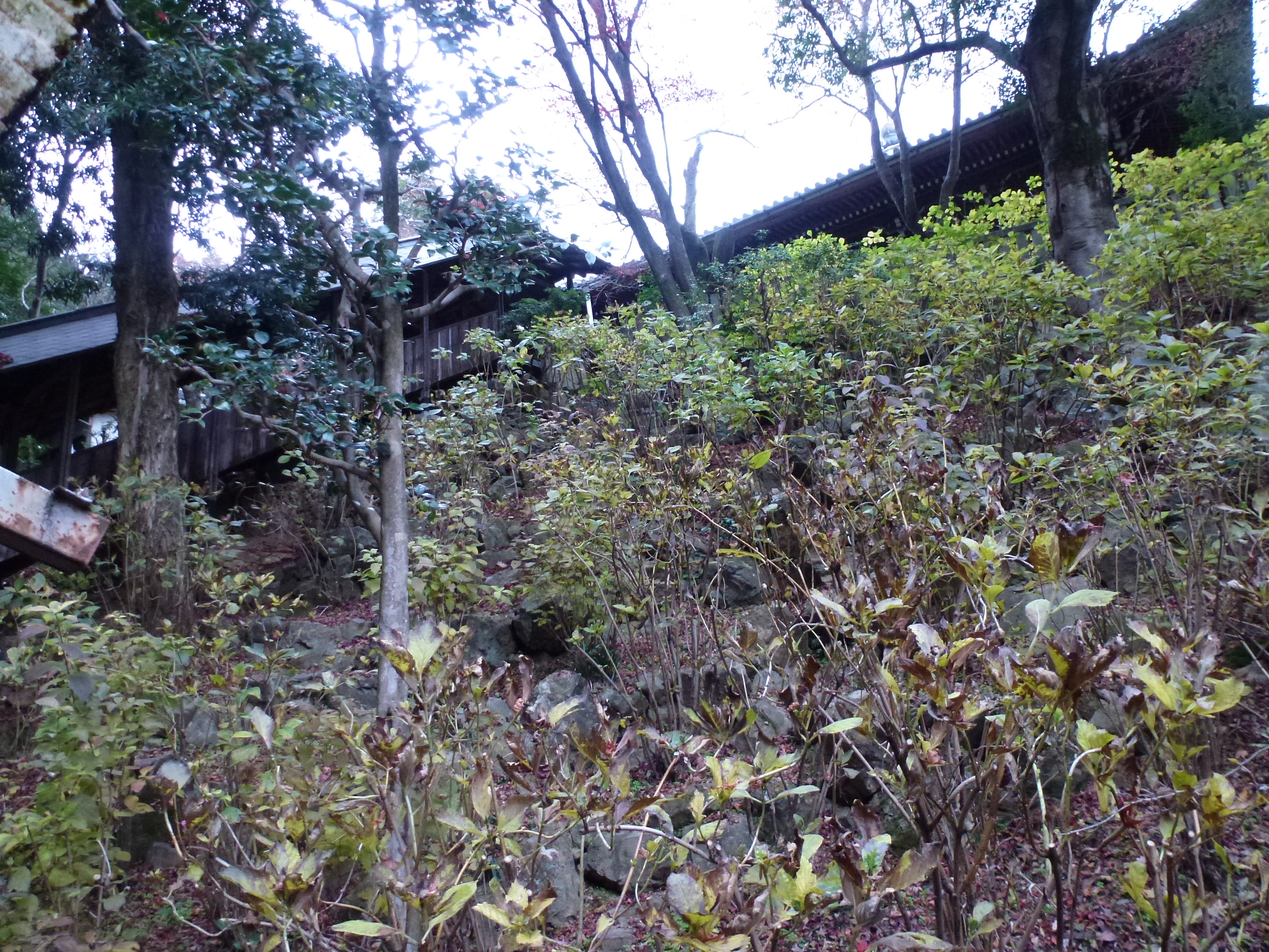 P1140261.JPG