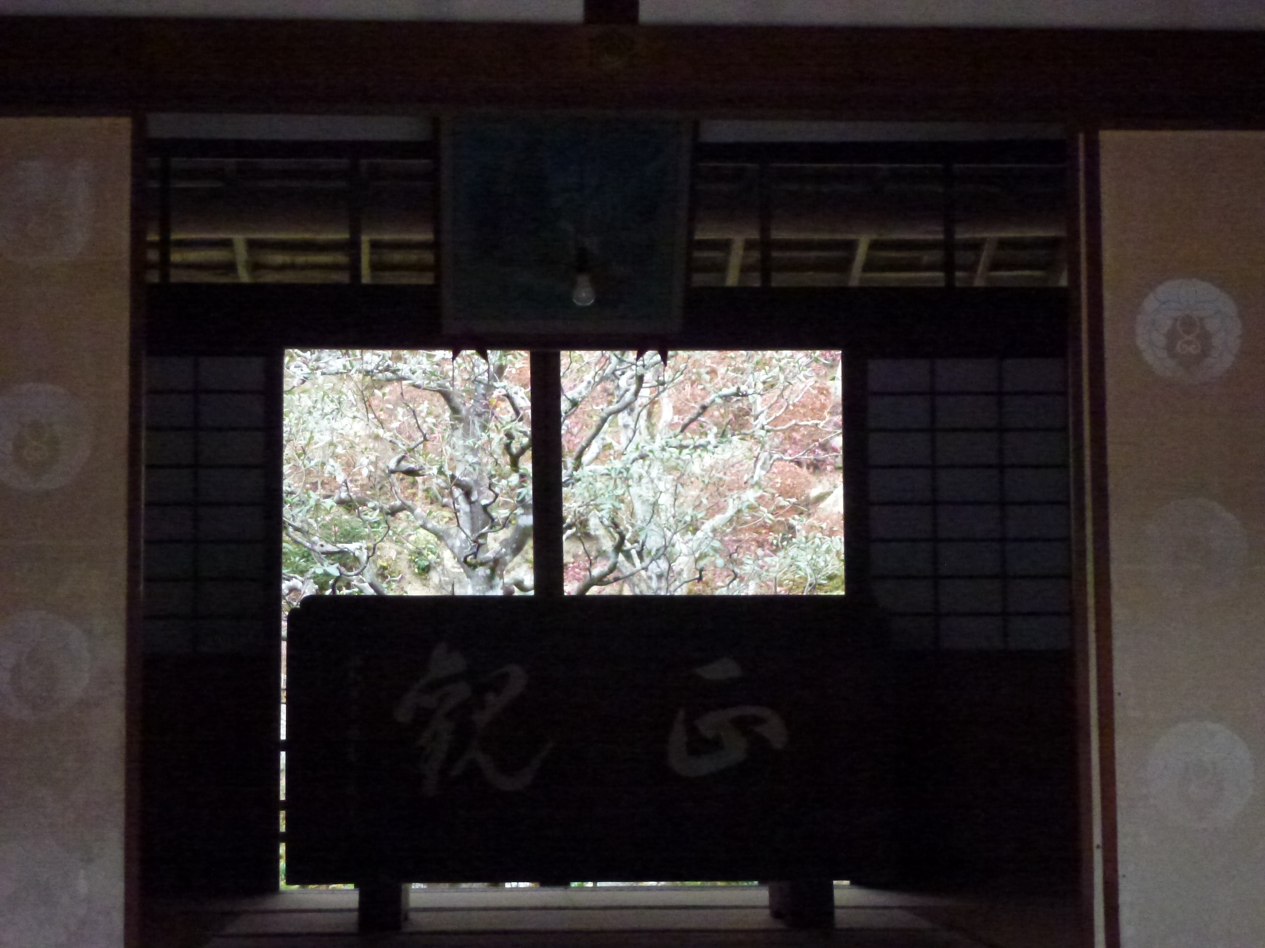 P1140270.JPG