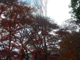 img0002.jpg