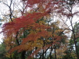 img0005.jpg