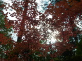 img0006.jpg