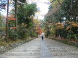img0007.jpg