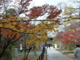 img0009.jpg