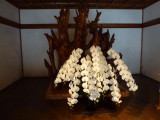 img0018.jpg