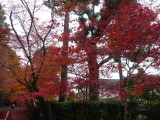img0020.jpg