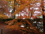 img0025.jpg