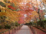 img0028.jpg
