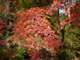 img0031.jpg