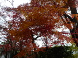 img0032.jpg