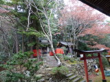 img0067.jpg