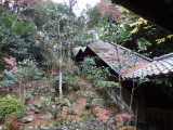 img0072.jpg