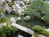 img0074.jpg