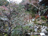 img0077.jpg