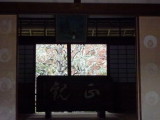 img0080.jpg