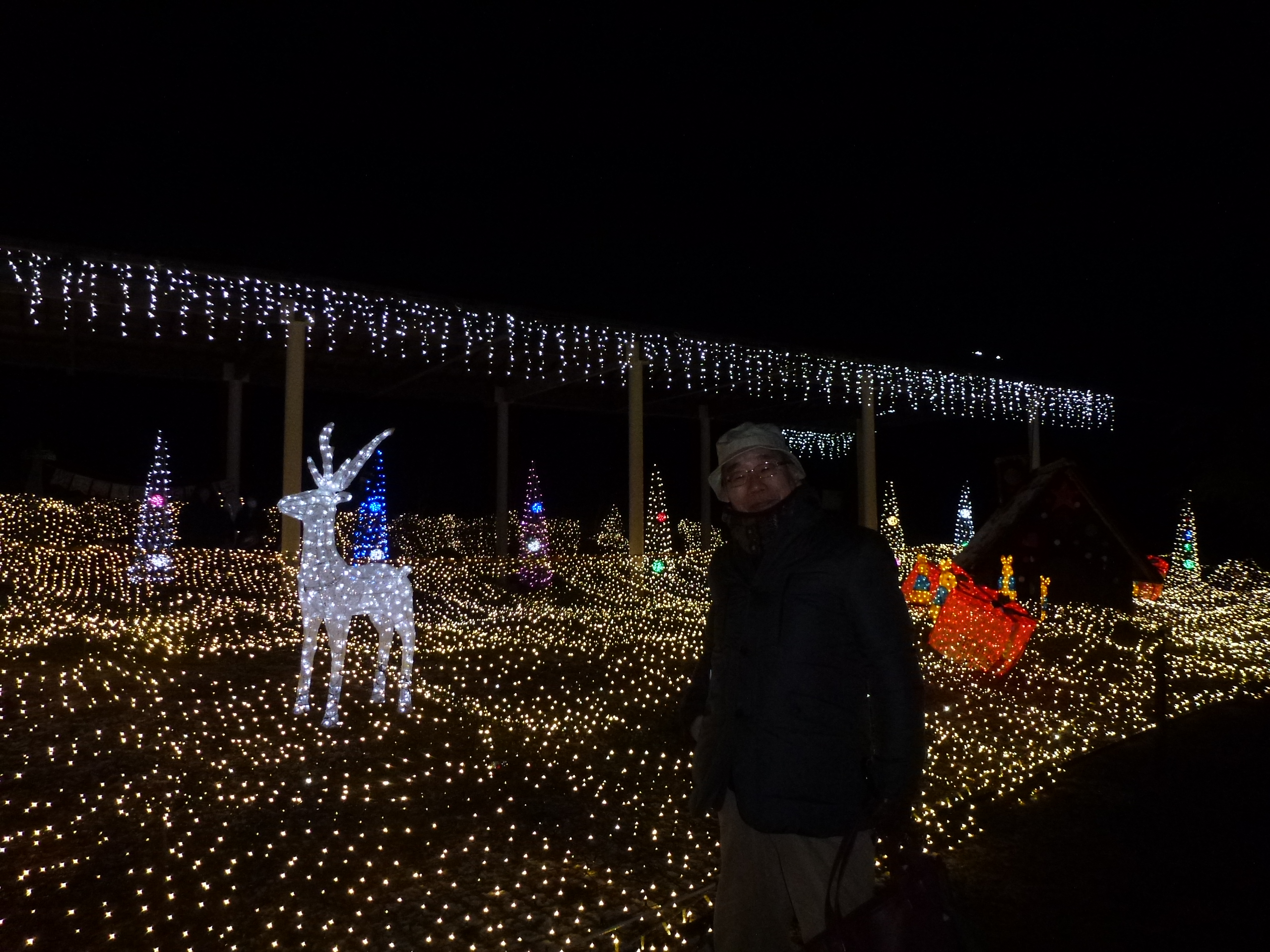 P1140377.JPG