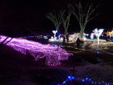 img0018.jpg