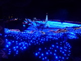 img0019.jpg