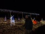 img0029.jpg