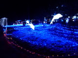 img0036.jpg