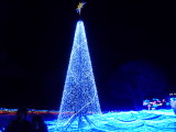img0037.jpg