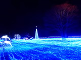 img0043.jpg