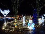 img0045.jpg